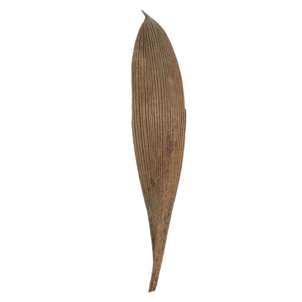 6"-12" Natural Preserved Palm Paddles (45-50 pack)