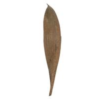 Vickerman 6"-12" Natural Preserved Palm Paddles (45-50 pack)