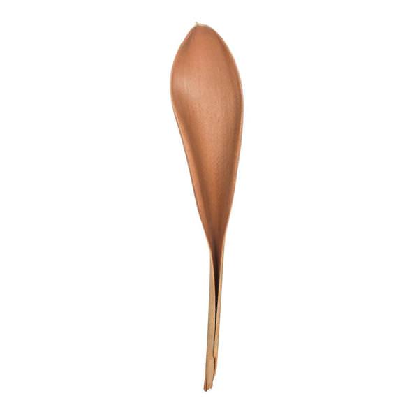 42"-45" Natural Preserved Palm Paddles (2 Pack)