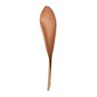 Vickerman 42"-45" Natural Preserved Palm Paddles (2 Pack)