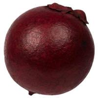 Vickerman 1"-2" Red Preserved Quinto Ball (50 pack)