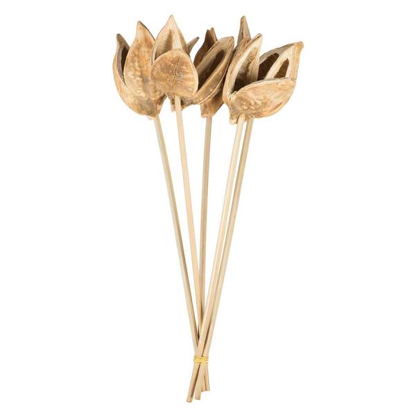16" Bleached Preserved Sora Pod Stems (5 pack)