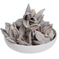 Vickerman 3-4" White Wash Sora Pods (25 Pack)