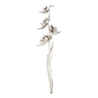 Vickerman 5'-6' White Wash Preserved Star Pod Stalk