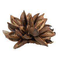 Dried and Preserved Pods
