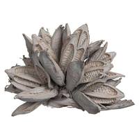 Vickerman 12-16" Solid Grey Preserved Star Pod