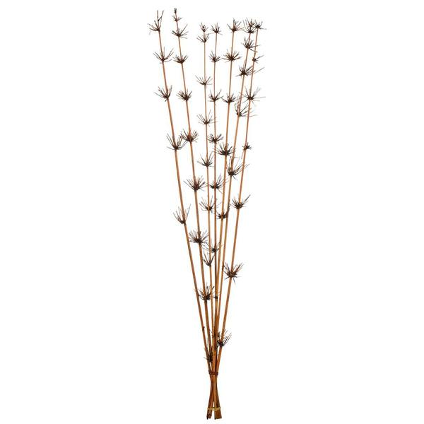 36"-40" Brown Preserved Star Bamboo Reed Bundle (7 stems in a bundle)