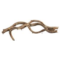 Vickerman 18"-22" Natural Dried Twisted Vine Bundle (3 pieces in a bundle)
