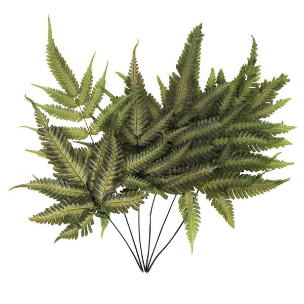 18"-20" Dried Ombre Basil Fern (6 pack)