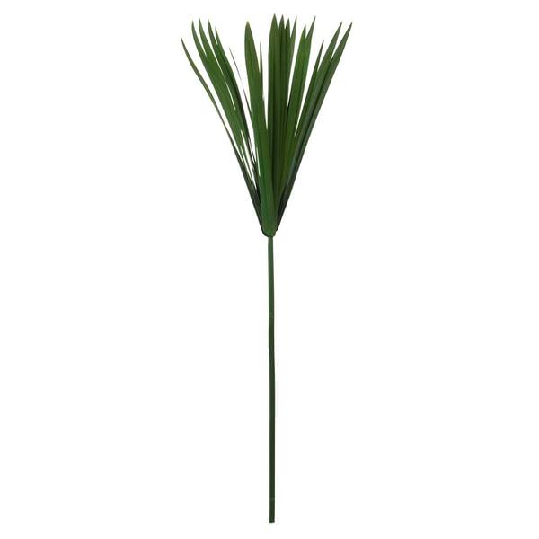 24"-30" Dried Green Papyrus Stem (6 pack)