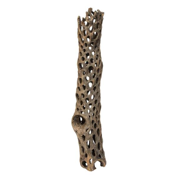 10"-12" Weathered Preserved Cholla Cactus
