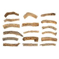 View 4 -18" Cholla Odds and Ends (Assorted Pack)