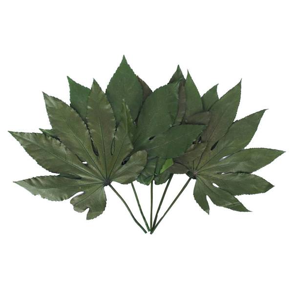 9"-10" 5oz Green Preserved Japonica (Sun Leaf) (5 stems in a bundle)