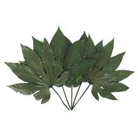 Vickerman 9"-10" 5oz Green Preserved Japonica (Sun Leaf) (5 stems in a bundle)