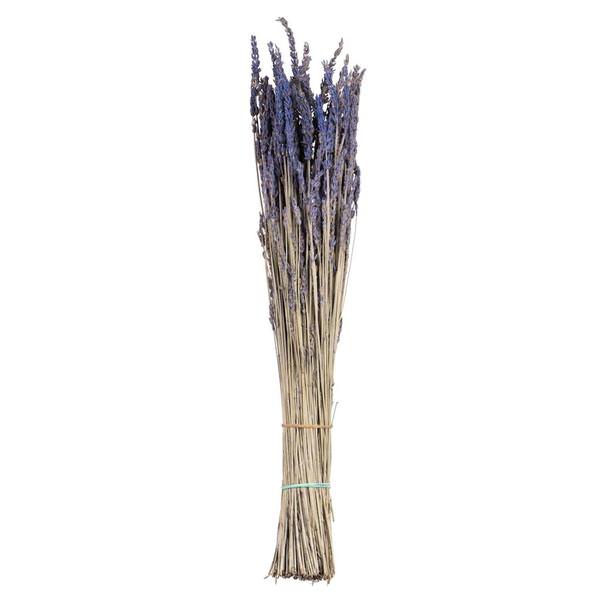 12"-18" 4oz Preserved Lavender Bundle