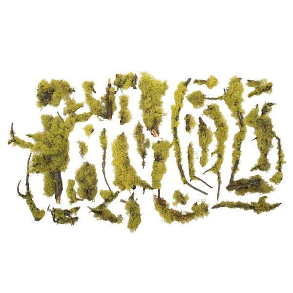 Chartreuse Preserved Mossy Branches