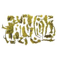 Vickerman Chartreuse Preserved Mossy Branches