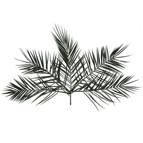 16-24" Green Phoenix Date Palm Frond (5 Pack)