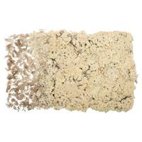 Vickerman 8.8lbs Natural Preserved Reindeer Moss Bundle