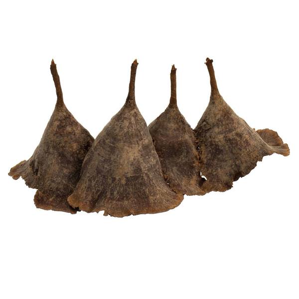3"-10" Natural Calice Mushrooms