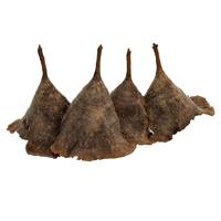 Vickerman 3"-10" Natural Calice Mushrooms