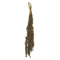 Vickerman 30"-34" 7-8oz Dried Light Green Amaranthus