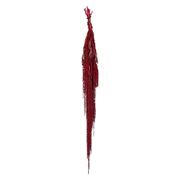30"-34" 7-8oz Dried Merlot Amaranthus