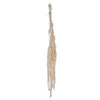 Vickerman 30"-34" 7-8oz Dried White Amaranthus