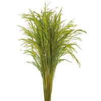 Vickerman 36" Lt Basil Congo Grass (8oz Bunch)