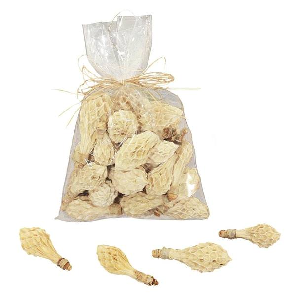 Natural Preserved Colmeia (20 pack)
