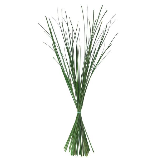 36"-40" 6oz Green Dried Ginarium Bundle