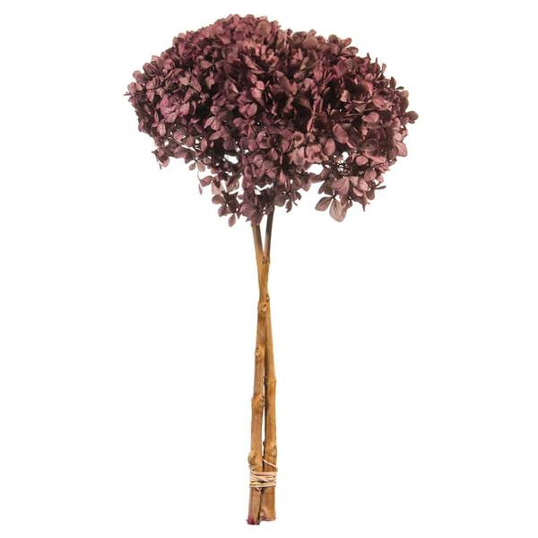 15" Violet Blush Preserved Hydrangea