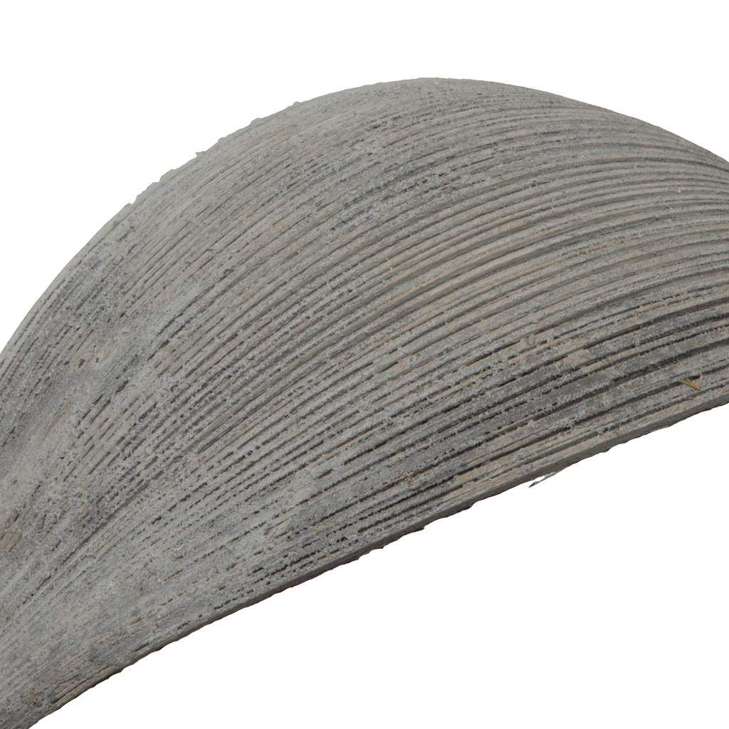 Vickerman 652886 Dried and Preserved Palm