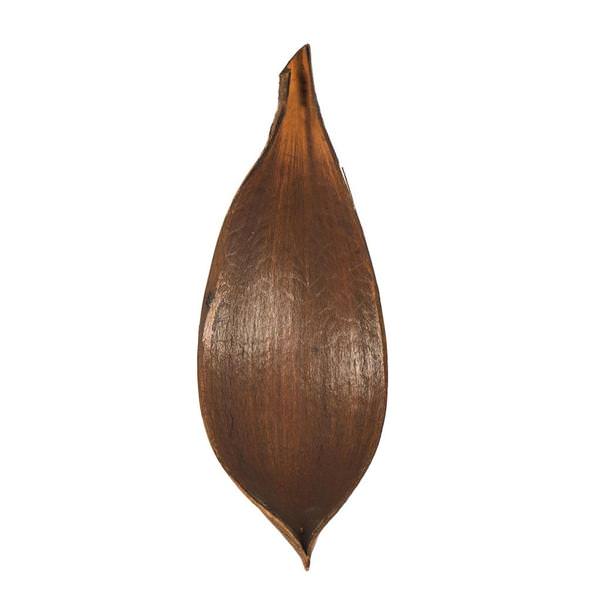 Dark Brown Preserved Palm Paddles (15 pack)