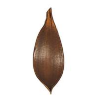 Vickerman Dark Brown Preserved Palm Paddles (15 pack)