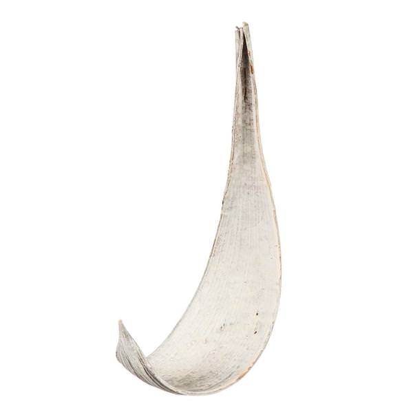 White Wash Preserved Palm Paddles (15 pack)