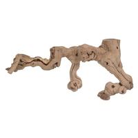 Vickerman Sand Blasted Preserved Grapewood Trunk Branch