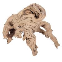 Vickerman Sand Blasted Preserved Grapewood Root