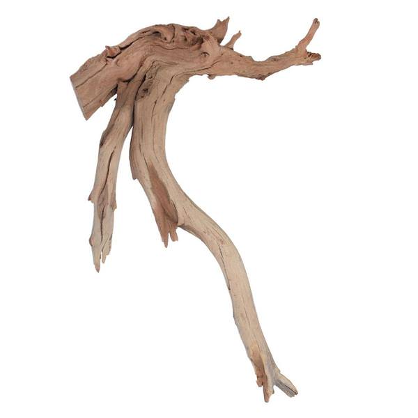 18" Sand Blasted Dried Manzanita Tree Branch