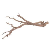 Vickerman 48" Sand Blasted Dried Manzanita Tree Branch