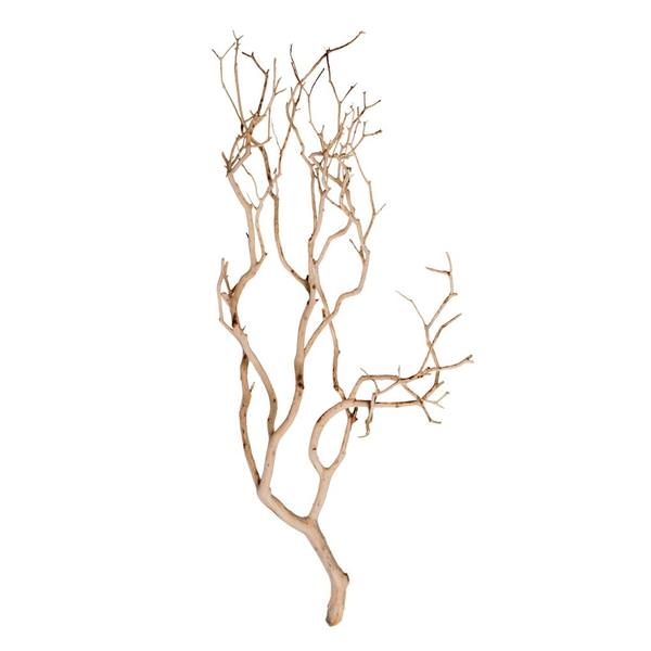24" Sand Blasted Dried Manzanita Tree Branch