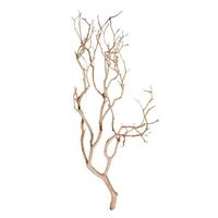 Vickerman 24" Sand Blasted Dried Manzanita Tree Branch