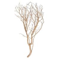 Vickerman 36" Sand Blasted Dried Manzanita Tree Branch
