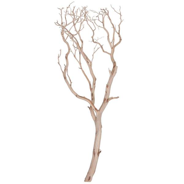 48" Sand Blasted Dried Manzanita Tree Branch