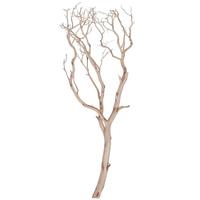 Vickerman 48" Sand Blasted Dried Manzanita Tree Branch