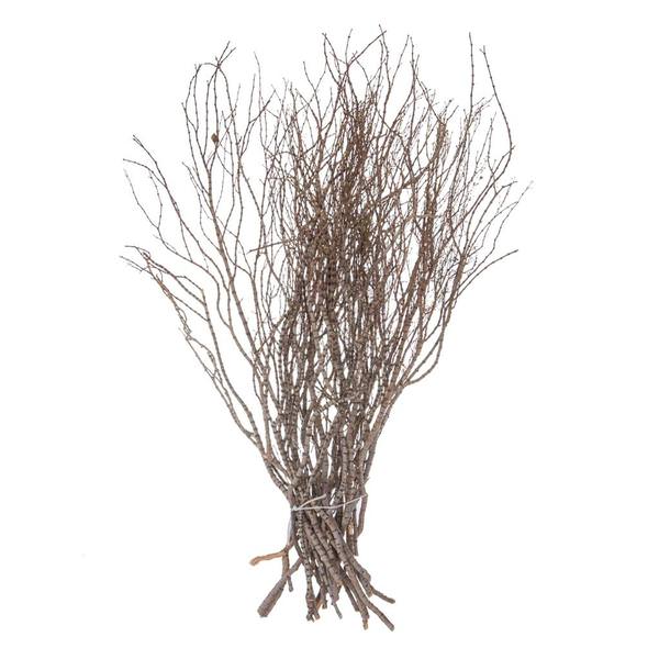 36" Preserved Tigerwood (25 pack)