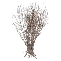 Dried and Preserved Branches