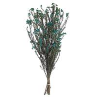Vickerman 16"-23" Blue Preserved Rice Flower