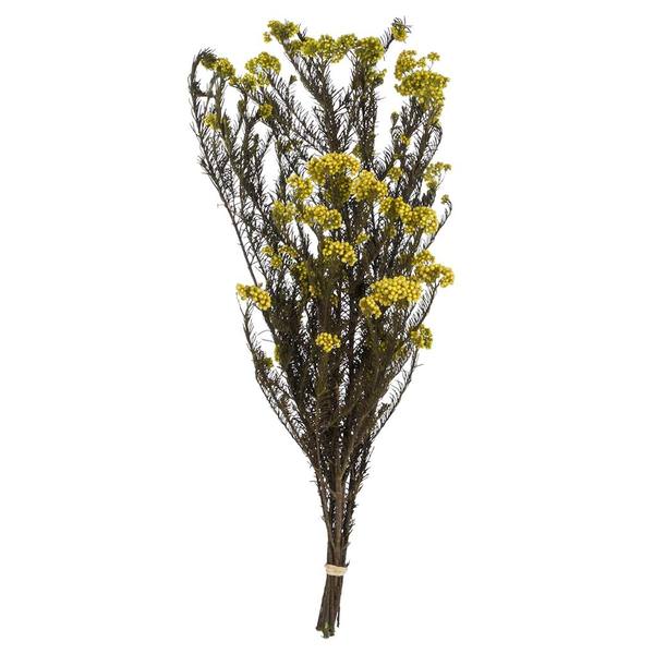 16"-23" 4-5oz Yellow Preserved Rice Flowers