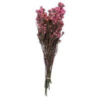 Vickerman 16-22" Light Pink Cotton Phylica Bundle